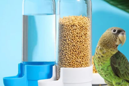 Hanging Pet Feeder Squirrel Parrot Water Dispenser Pet Bird Food Box Cage Accessories Birds Supplies